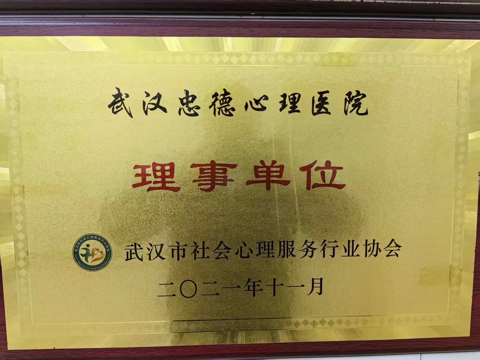 武汉市社会心理服务行业协会理事单位